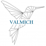 Valmich Technology